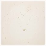 Beauty of Joseon Ginseng Cleansing Oil 210ml